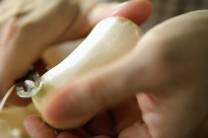 Preparar las hortalizas