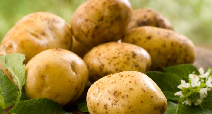 Ten en cuenta la fécula de las patatas