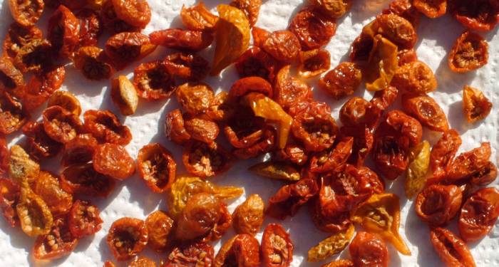 Tomates secos caseros