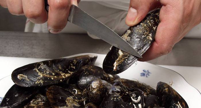 Mejillones limpios en un momento