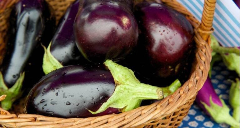 Berenjenas que no pican