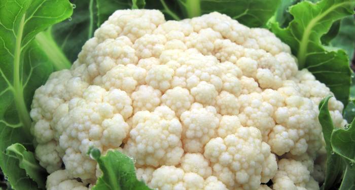 Coliflor en su punto