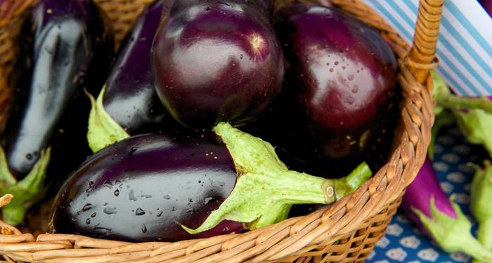 Berenjenas que no pican