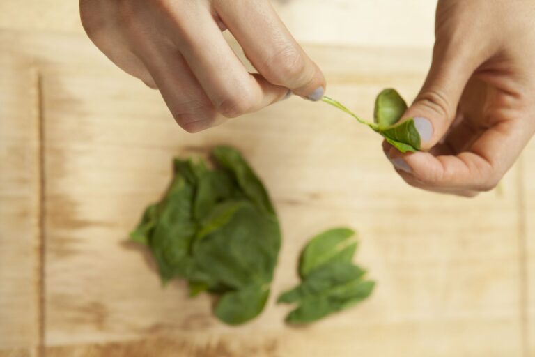 Espinacas muy apetecibles