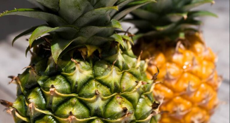 Escoge la mejor piña