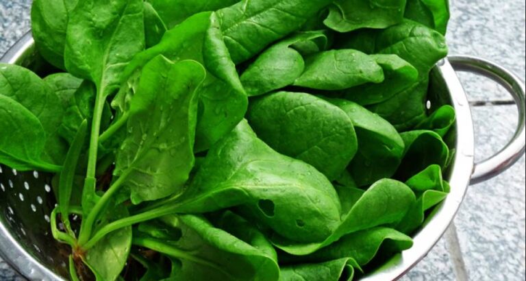 Espinacas más sabrosas