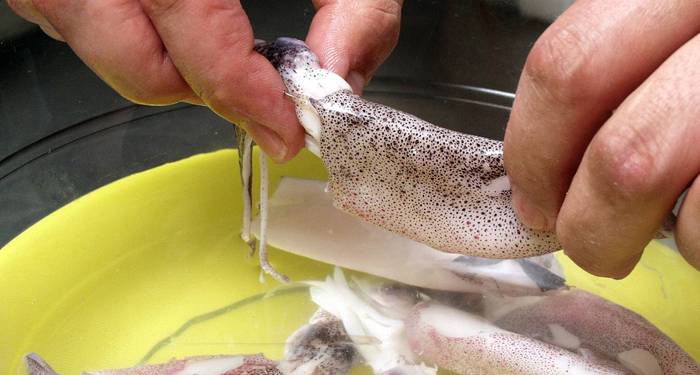 Chipirones bien limpios