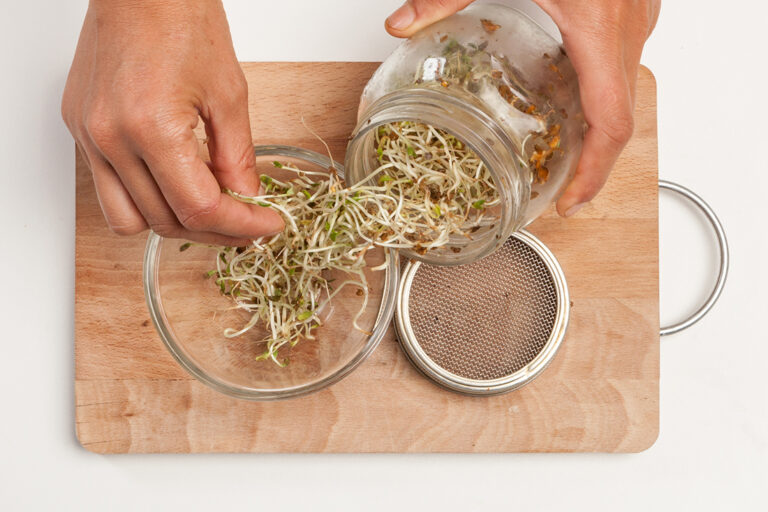 Conserva los brotes de soja de la mejor forma