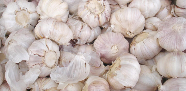 Que tu receta tenga un suave savor a ajo