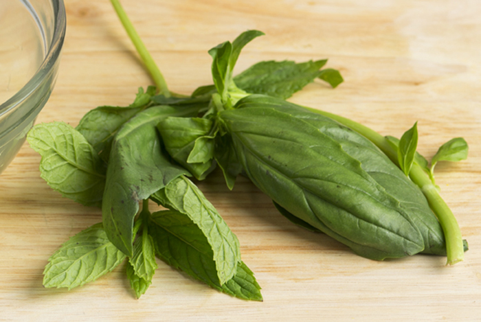 Aprovecha la albahaca