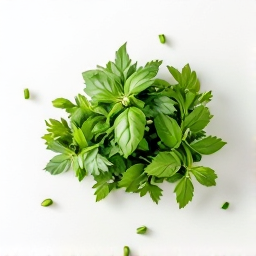 Finas hierbas aromáticas