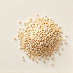 Semilla de ajonjolí