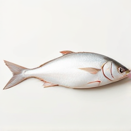 Pescado blanco